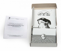 Модель-аппликация Размножение шляпочного гриба (набор из 9 карт) - «globural.ru» - Мытищи