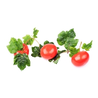 Ветка муляжей "Помидоры" - «globural.ru» - Мытищи