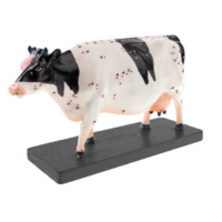 Электрифицированный макет коровы на каркасе - «globural.ru» - Мытищи
