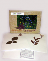 Гербарий Дикорастущие растения (28 видов) - «globural.ru» - Мытищи