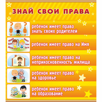 Стенд "Знай свои права" - «globural.ru» - Мытищи