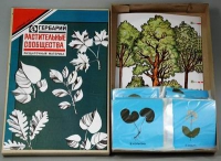 Гербарий Растительные сообщества - «globural.ru» - Мытищи