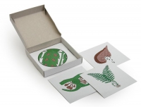 Модель-аппликация Размножение папоротника (набор из 8 карт) - «globural.ru» - Мытищи