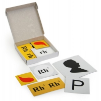 Модель-аппликация Наследование резус-фактора (набор из 19 карт) - «globural.ru» - Мытищи