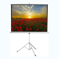 Экран на штативе DSKD-4303 - «globural.ru» - Мытищи