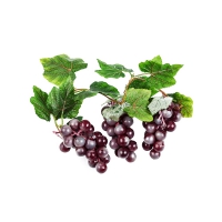 Ветка муляжей "Виноград" - «globural.ru» - Мытищи