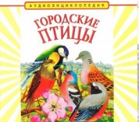 CD "Аудиоэнциклопедия. Городские птицы" - «globural.ru» - Мытищи