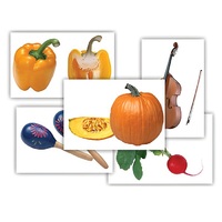 Набор предметных картинок "Овощи. Музыкальные инструменты" - «globural.ru» - Мытищи