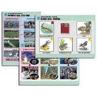 Комплект таблиц для  начальной школы "Окружающий мир. Экология" - «globural.ru» - Мытищи