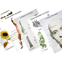 Таблицы по природоведению 1-3 класс - «globural.ru» - Мытищи