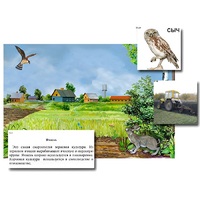 Магнитный плакат-аппликация "Поле: биоразнообразие и взаимосвязи в сообществе" - «globural.ru» - Мытищи