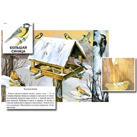 Магнитный плакат-аппликация "Биоразнообразие и экологические группы. Птицы зимой" - «globural.ru» - Мытищи