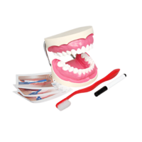 Игровой комплект "Чистим зубы" - «globural.ru» - Мытищи