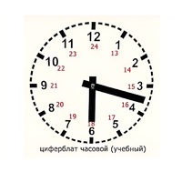 Часовой циферблат раздаточный - «globural.ru» - Мытищи