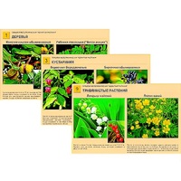 Гербарий фотографический "Ядовитые растения" - «globural.ru» - Мытищи