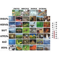 Фенологические наблюдения - «globural.ru» - Мытищи