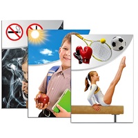 Модель-аппликация "Здоровье человека" - «globural.ru» - Мытищи