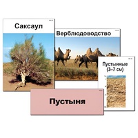 Модель-аппликация "Природные зоны России" - «globural.ru» - Мытищи