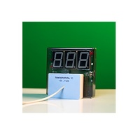 Датчик температуры с независимой индикацией (термометр демонстрационный) - «globural.ru» - Мытищи