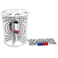 Модель для демонстрации в объеме линий магнитного поля  (вариант 1) - «globural.ru» - Мытищи