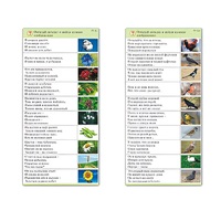 Комплект карточек (10) "Обучающий калейдоскоп. Природа" - «globural.ru» - Мытищи