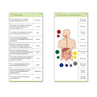 Комплект карточек (10) "Обучающий калейдоскоп. Человек" - «globural.ru» - Мытищи
