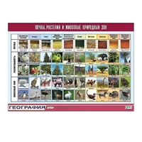 Таблица демонстрационная "Почвы, растения и животные природных зон" (винил 70x100) - «globural.ru» - Мытищи