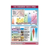 Таблица демонстрационная "Этапы взаимодействия человека и природы" (винил 70x100) - «globural.ru» - Мытищи