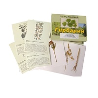 Гербарий "Систематика растений. Семейство Бобовые. Злаки" (раздаточный) - «globural.ru» - Мытищи