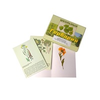 Гербарий "Систематика растений. Семейство Пасленовые. Крестоцветные. Сложноцветные" (раздаточный) - «globural.ru» - Мытищи