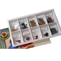 Коллекция "Плоды сельскохозяйственных растений" (вариант 2) - «globural.ru» - Мытищи