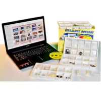 Коллекция натурально-интерактивная "Пластмассы" - «globural.ru» - Мытищи