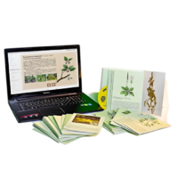 Гербарий натурально-интерактивный "Дикорастущие растения" - «globural.ru» - Мытищи