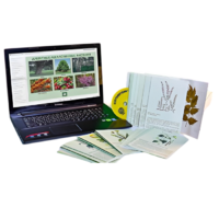 Гербарий натурально-интерактивный "Лекарственные растения" - «globural.ru» - Мытищи