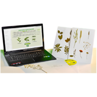 Гербарий натурально-интерактивный "Морфология растений" - «globural.ru» - Мытищи