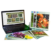 Гербарий натурально-интерактивный "Основные группы растений. Грибы. Лишайники" - «globural.ru» - Мытищи