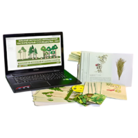 Гербарий натурально-интерактивный "Растительные сообщества. Лес" - «globural.ru» - Мытищи