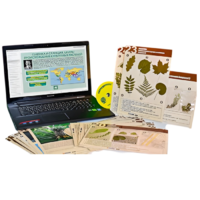 Гербарий натурально-интерактивный к курсу основ общей биологии - «globural.ru» - Мытищи