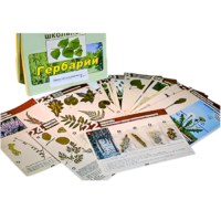 Гербарий к курсу основ общей биологии - «globural.ru» - Мытищи