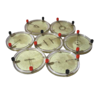 Демонстрационный комплект «Силовые линии электрического поля разных систем зарядов» - «globural.ru» - Мытищи