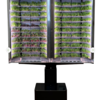 Вертикальная  ферма «Моя микрозелень» комплектация  «Театро настенная» - «globural.ru» - Мытищи