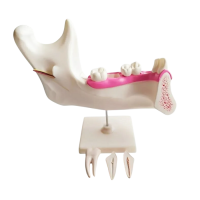 Комплект моделей - «globural.ru» - Мытищи