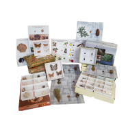 Комплект коллекций демонстрационный - «globural.ru» - Мытищи