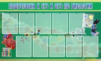 Стенд "Подготовка к ЕГЭ и ОГЭ по биологии" (вариант 2) - «globural.ru» - Мытищи