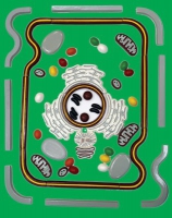 Модель-аппликация Строение клетки - «globural.ru» - Мытищи