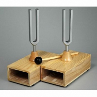 Камертоны на резонансных ящиках с молоточком - «globural.ru» - Мытищи