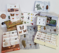 Комплект коллекций демонстрационный (по разным темам курса биологии) - «globural.ru» - Мытищи