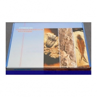 Коллекция "Палеонтологическая" - «globural.ru» - Мытищи