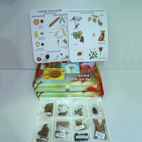 Коллекция "Семена и плоды с раздаточным материалом" - «globural.ru» - Мытищи