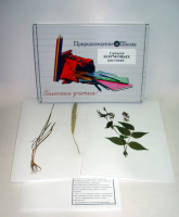 Гербарий "Кормовые растения" (20 видов) - «globural.ru» - Мытищи